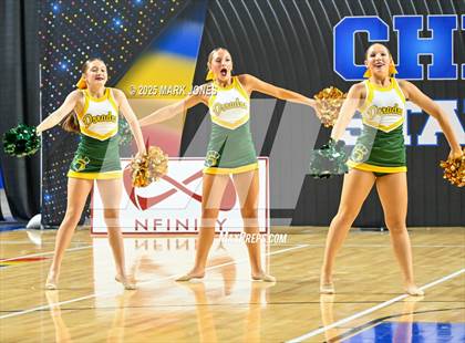 Thumbnail 3 in Canyon del Oro - Dance Game Day Championships (AIA Division I, II)  photogallery.