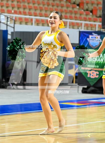 Thumbnail 3 in Canyon del Oro - Dance Game Day Championships (AIA Division I, II)  photogallery.