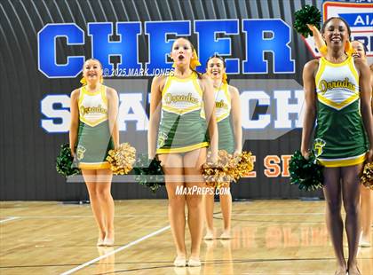 Thumbnail 1 in Canyon del Oro - Dance Game Day Championships (AIA Division I, II)  photogallery.