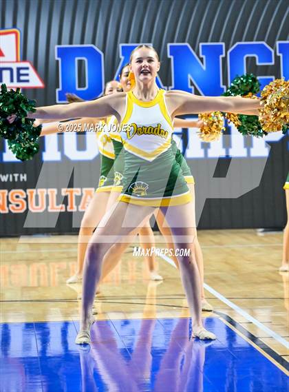 Thumbnail 2 in Canyon del Oro - Dance Game Day Championships (AIA Division I, II)  photogallery.