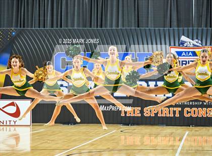 Thumbnail 1 in Canyon del Oro - Dance Game Day Championships (AIA Division I, II)  photogallery.