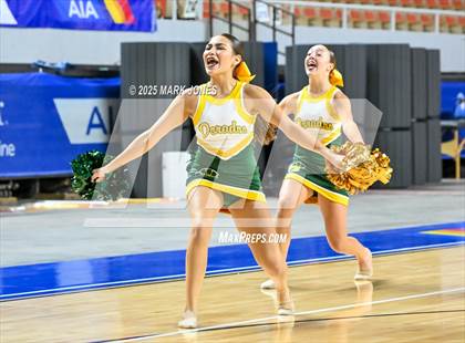 Thumbnail 1 in Canyon del Oro - Dance Game Day Championships (AIA Division I, II)  photogallery.