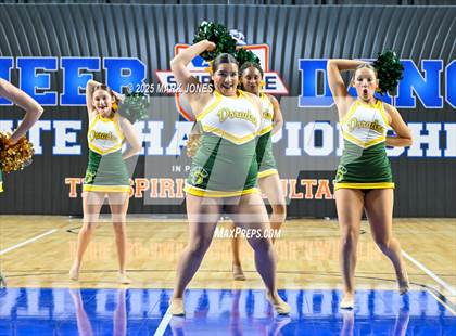 Thumbnail 2 in Canyon del Oro - Dance Game Day Championships (AIA Division I, II)  photogallery.