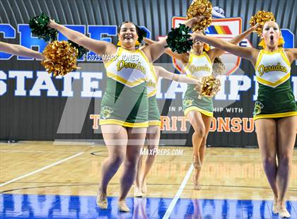 Thumbnail 2 in Canyon del Oro - Dance Game Day Championships (AIA Division I, II)  photogallery.