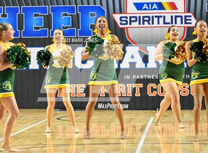 Thumbnail 3 in Canyon del Oro - Dance Game Day Championships (AIA Division I, II)  photogallery.