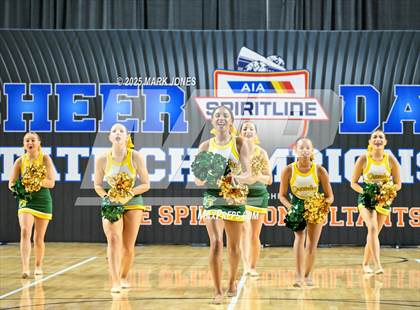 Thumbnail 2 in Canyon del Oro - Dance Game Day Championships (AIA Division I, II)  photogallery.