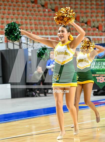Thumbnail 1 in Canyon del Oro - Dance Game Day Championships (AIA Division I, II)  photogallery.