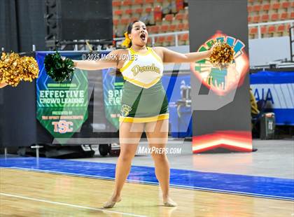 Thumbnail 1 in Canyon del Oro - Dance Game Day Championships (AIA Division I, II)  photogallery.