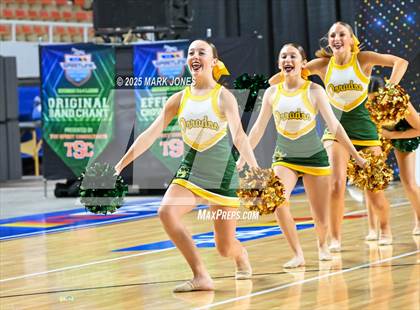 Thumbnail 1 in Canyon del Oro - Dance Game Day Championships (AIA Division I, II)  photogallery.