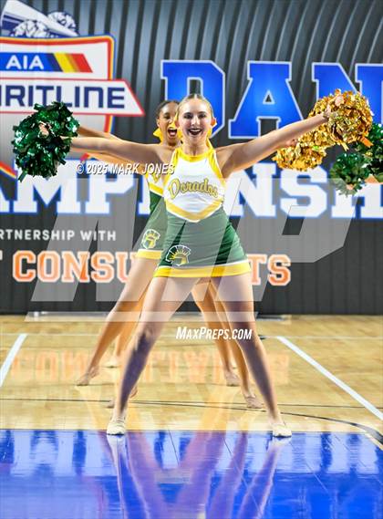 Thumbnail 1 in Canyon del Oro - Dance Game Day Championships (AIA Division I, II)  photogallery.