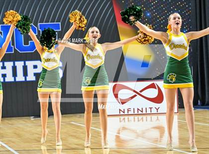 Thumbnail 3 in Canyon del Oro - Dance Game Day Championships (AIA Division I, II)  photogallery.