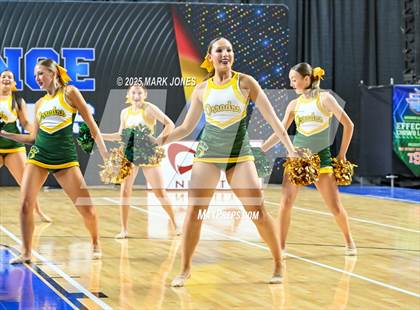 Thumbnail 3 in Canyon del Oro - Dance Game Day Championships (AIA Division I, II)  photogallery.