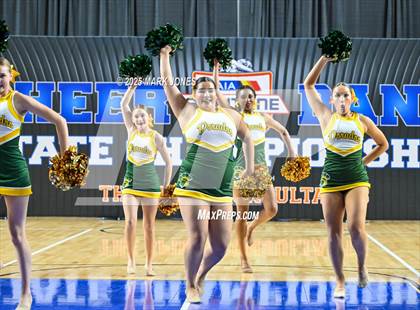 Thumbnail 1 in Canyon del Oro - Dance Game Day Championships (AIA Division I, II)  photogallery.