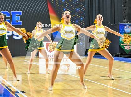 Thumbnail 1 in Canyon del Oro - Dance Game Day Championships (AIA Division I, II)  photogallery.