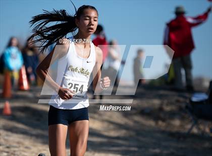 Thumbnail 1 in CIF Sac-Joaquin Section Cross Country Championships (D1 Girls) photogallery.