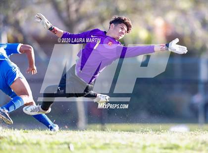 Thumbnail 2 in Goleman @ Hollywood Hills photogallery.