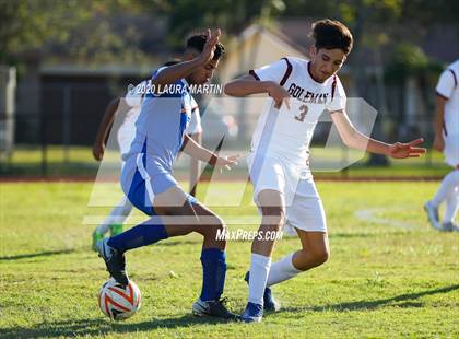 Thumbnail 3 in Goleman @ Hollywood Hills photogallery.