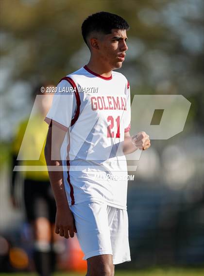 Thumbnail 3 in Goleman @ Hollywood Hills photogallery.