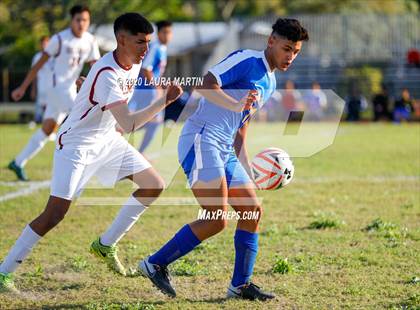 Thumbnail 2 in Goleman @ Hollywood Hills photogallery.