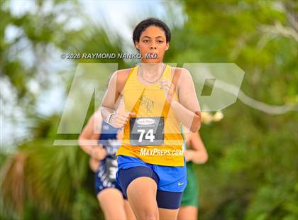 Thumbnail 3 in Lemon Bay Invitational photogallery.