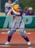 Photo from the gallery "Early @ Brock"