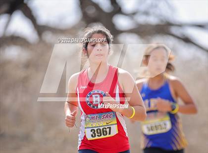 Thumbnail 1 in Mt SAC Invitational (Division 1 - Race 77)  photogallery.