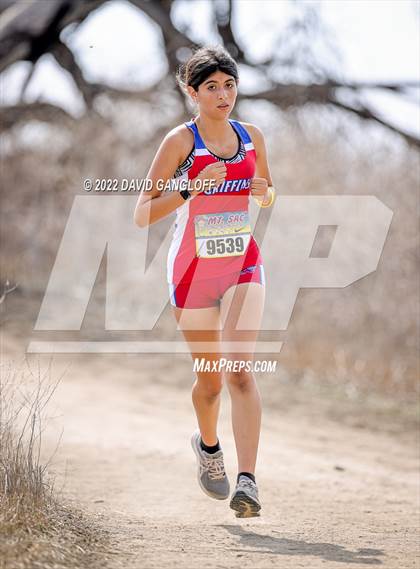 Thumbnail 1 in Mt SAC Invitational (Division 1 - Race 77)  photogallery.