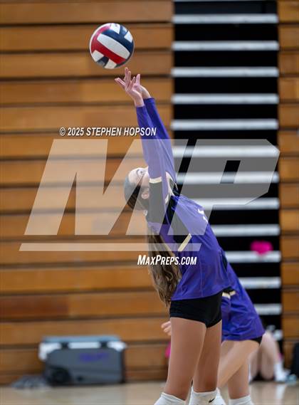 Thumbnail 3 in Stagg @ Tokay photogallery.