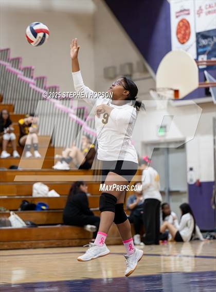 Thumbnail 3 in Stagg @ Tokay photogallery.