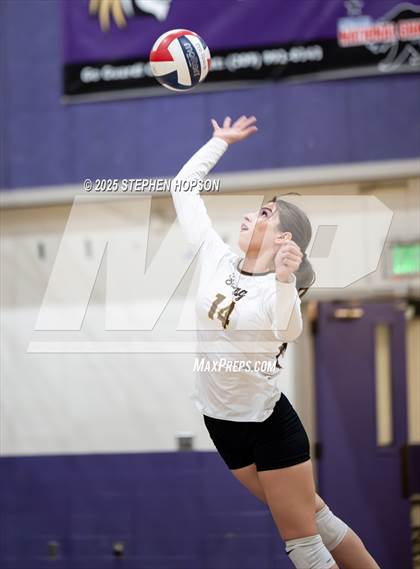 Thumbnail 1 in Stagg @ Tokay photogallery.
