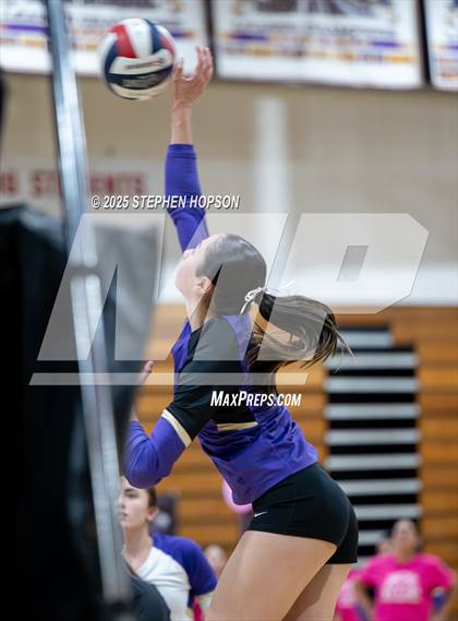 Thumbnail 2 in Stagg @ Tokay photogallery.
