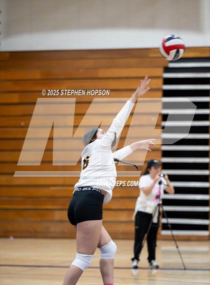 Thumbnail 3 in Stagg @ Tokay photogallery.