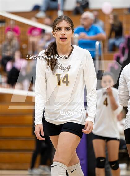 Thumbnail 3 in Stagg @ Tokay photogallery.