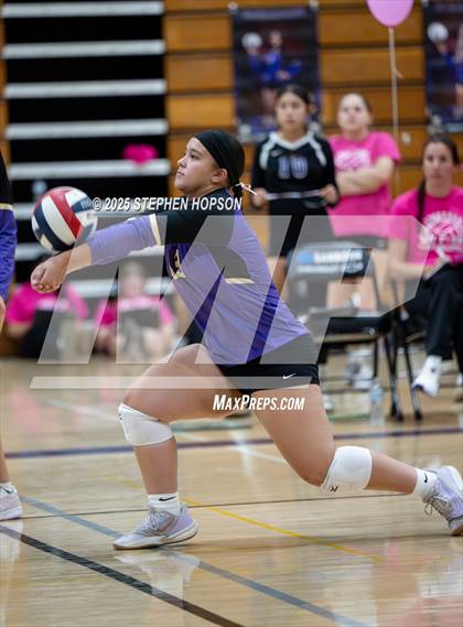 Thumbnail 3 in Stagg @ Tokay photogallery.