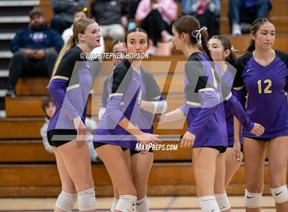 Thumbnail 3 in Stagg @ Tokay photogallery.