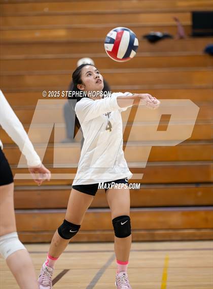 Thumbnail 2 in Stagg @ Tokay photogallery.