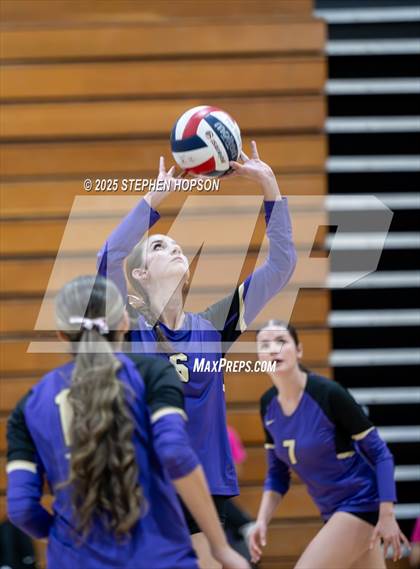 Thumbnail 3 in Stagg @ Tokay photogallery.