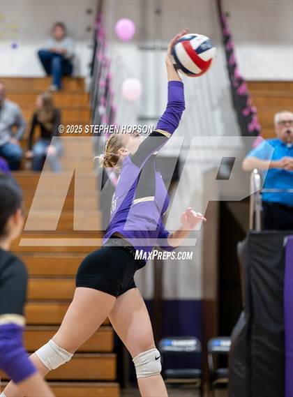Thumbnail 3 in Stagg @ Tokay photogallery.