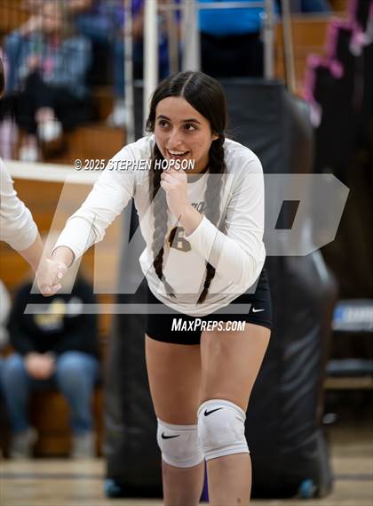 Thumbnail 1 in Stagg @ Tokay photogallery.