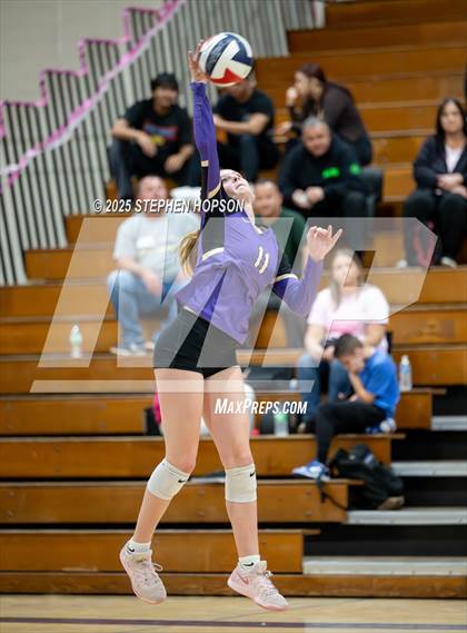Thumbnail 3 in Stagg @ Tokay photogallery.