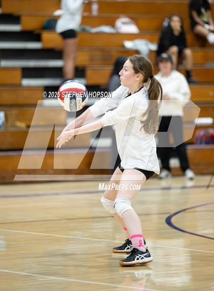 Thumbnail 1 in Stagg @ Tokay photogallery.