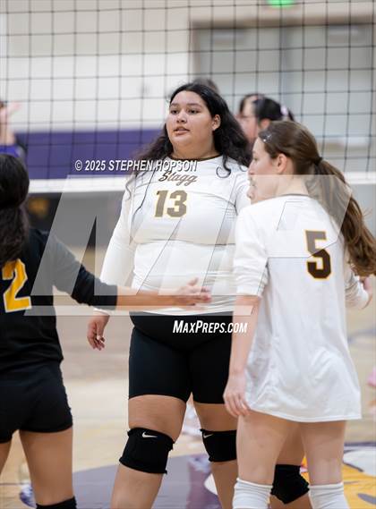Thumbnail 1 in Stagg @ Tokay photogallery.