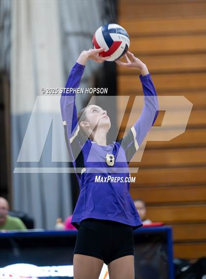 Thumbnail 2 in Stagg @ Tokay photogallery.