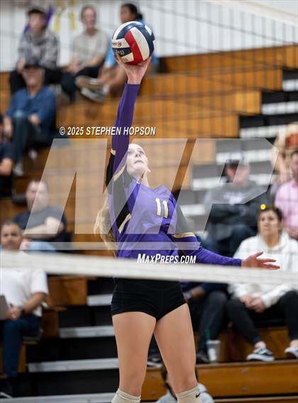 Thumbnail 1 in Stagg @ Tokay photogallery.