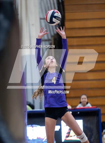 Thumbnail 2 in Stagg @ Tokay photogallery.