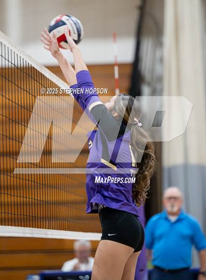 Thumbnail 1 in Stagg @ Tokay photogallery.