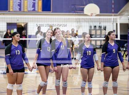 Thumbnail 1 in Stagg @ Tokay photogallery.