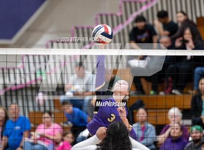 Thumbnail 2 in Stagg @ Tokay photogallery.