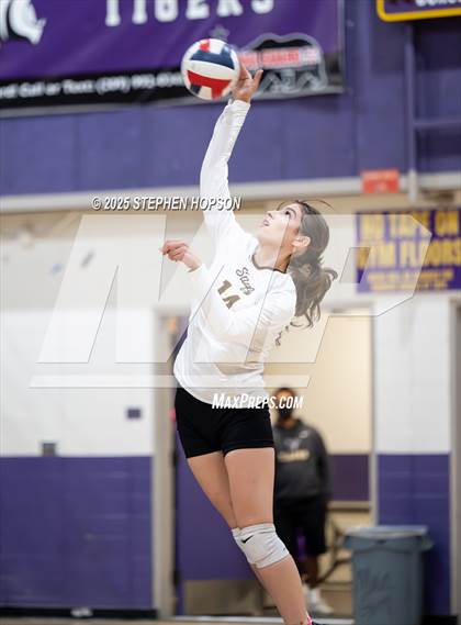 Thumbnail 3 in Stagg @ Tokay photogallery.