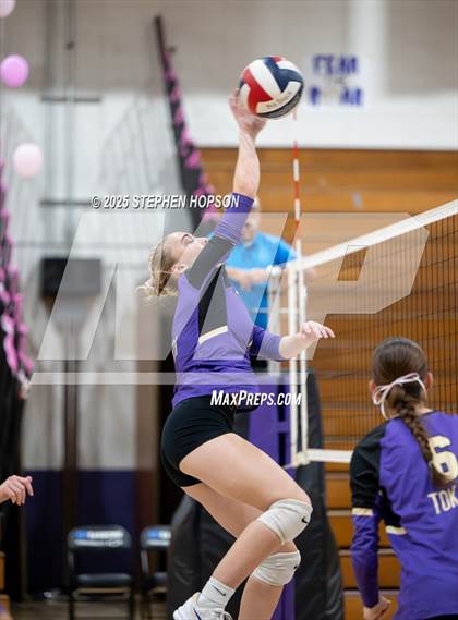 Thumbnail 2 in Stagg @ Tokay photogallery.